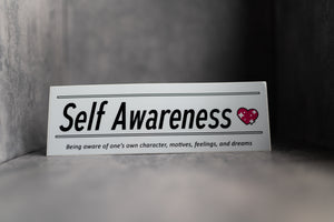 Self Awareness