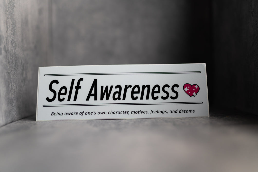 Self Awareness